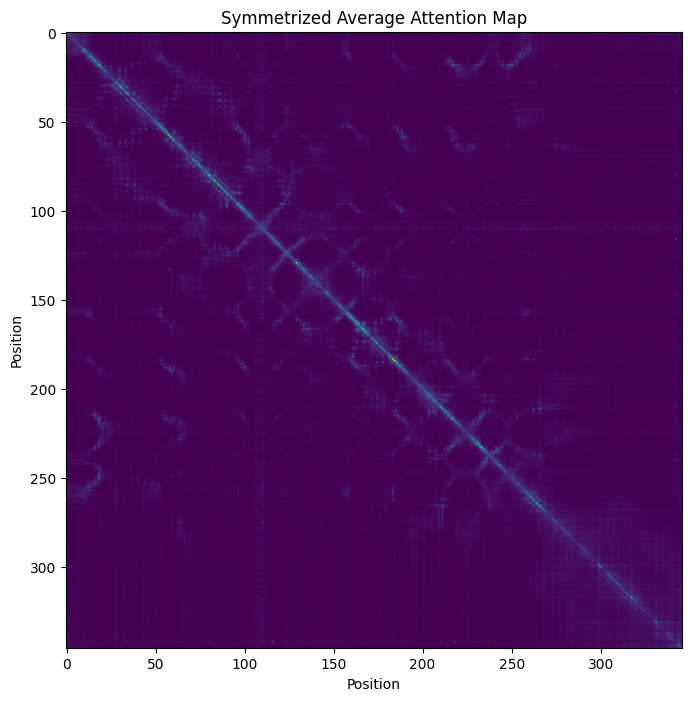 ../../_images/python-api_foundation-models_attention-maps_9_0.png